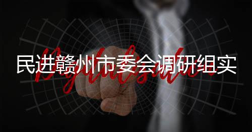 调研餐厨会调民进项目市委实地赣州赣州研组